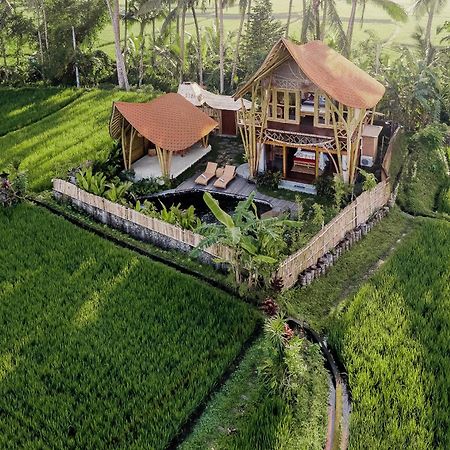 Arapan Ubud Eco Villa Exteriér fotografie